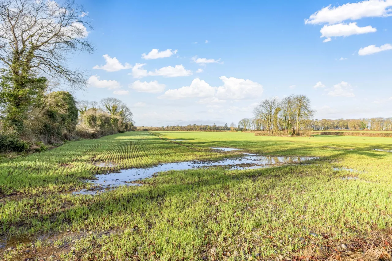 Photo of Macetown, Tara, Co Meath, C15 KX93
