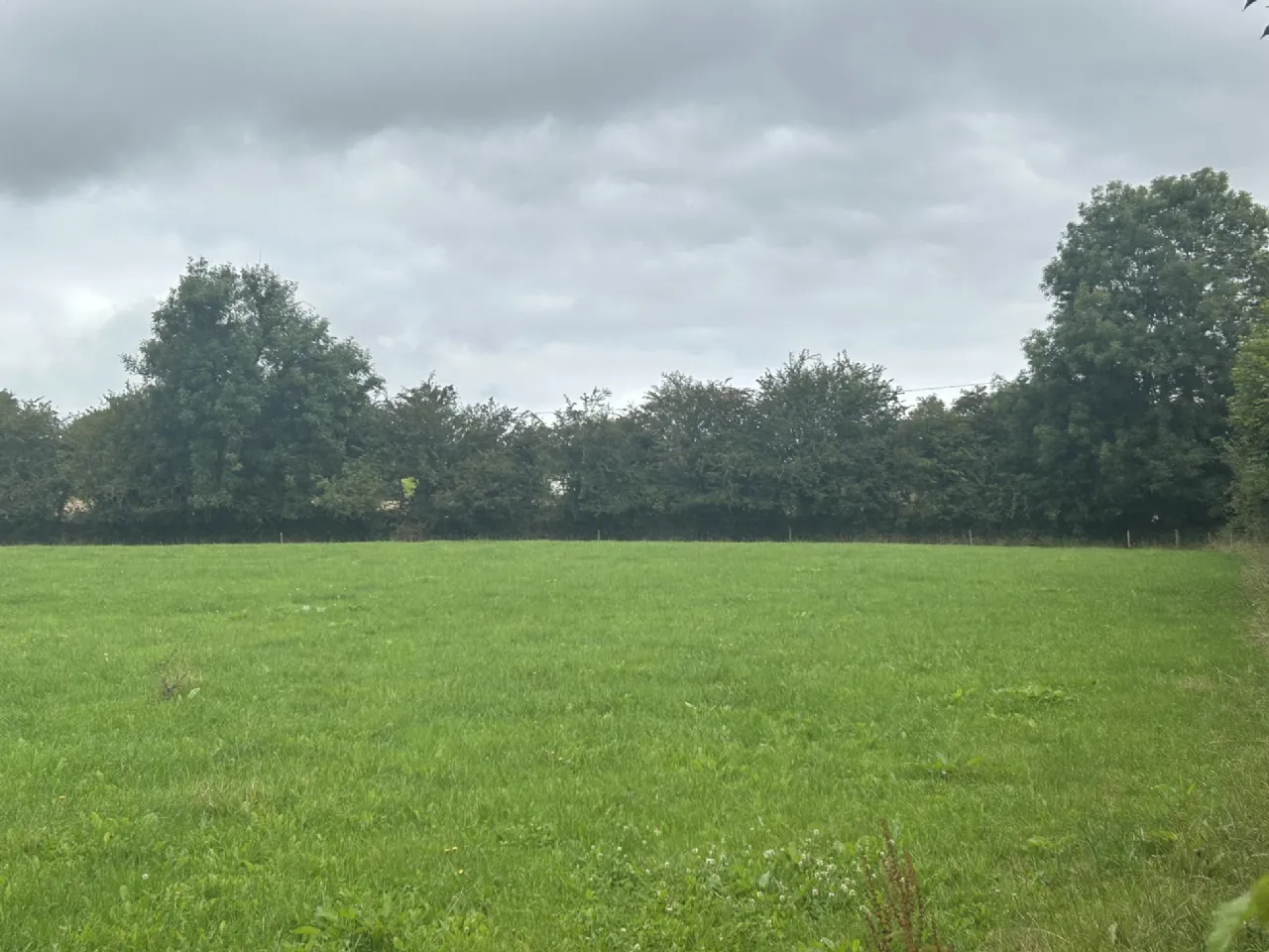 Photo of 0.75 Acre Site, Carrigaunroe, Shanballmore, Co. Cork