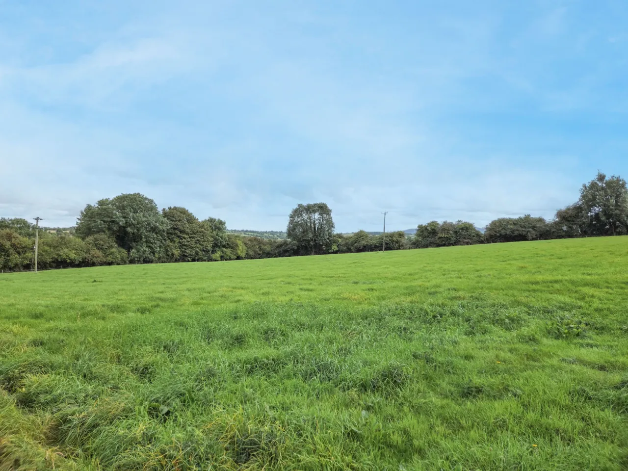 Photo of Garrane / Roan, Killenaule, Thurles, Co. Tipperary, E41 EK68