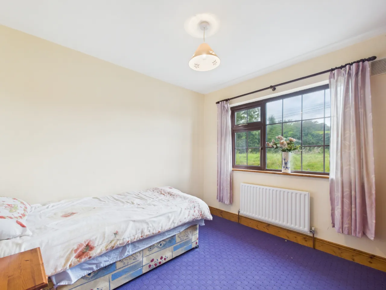 Photo of Garrane / Roan, Killenaule, Thurles, Co. Tipperary, E41 EK68