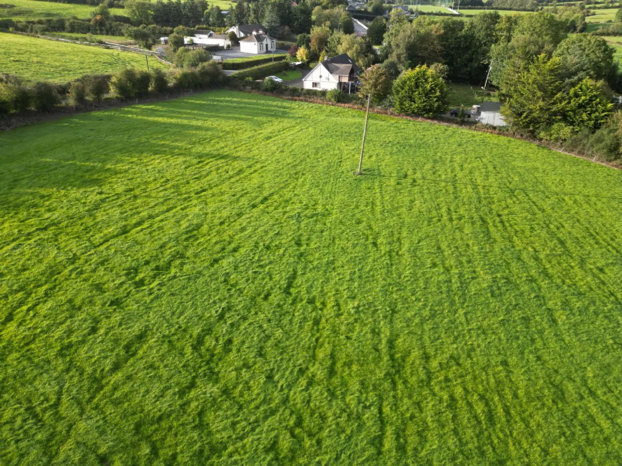 Photo of Garrane / Roan, Killenaule, Thurles, Co. Tipperary, E41 EK68