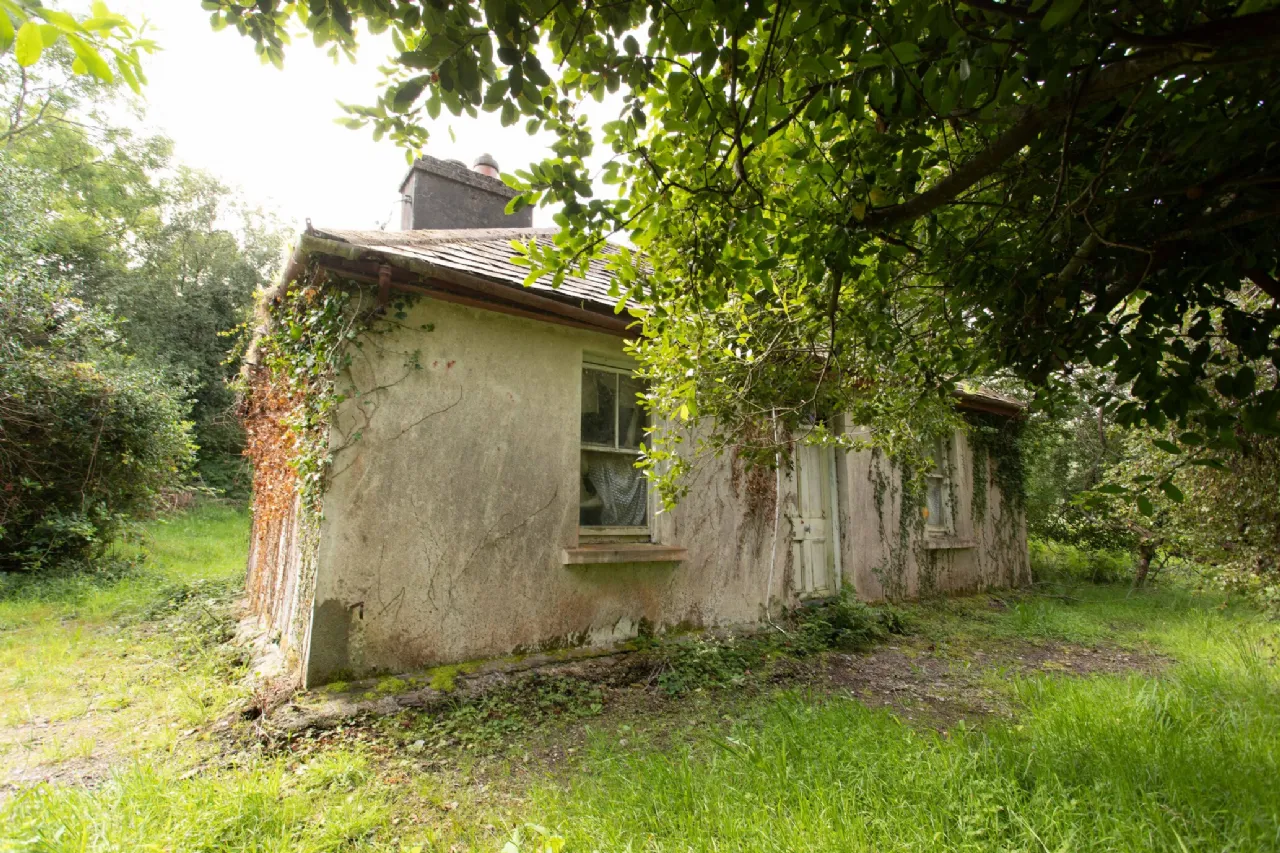 Photo of Glannagilliagh, Caragh Lake, Co.Kerry