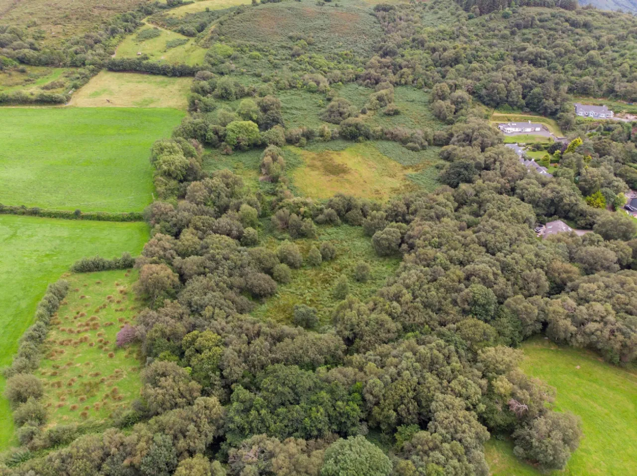 Photo of Glannagilliagh, Caragh Lake, Co.Kerry
