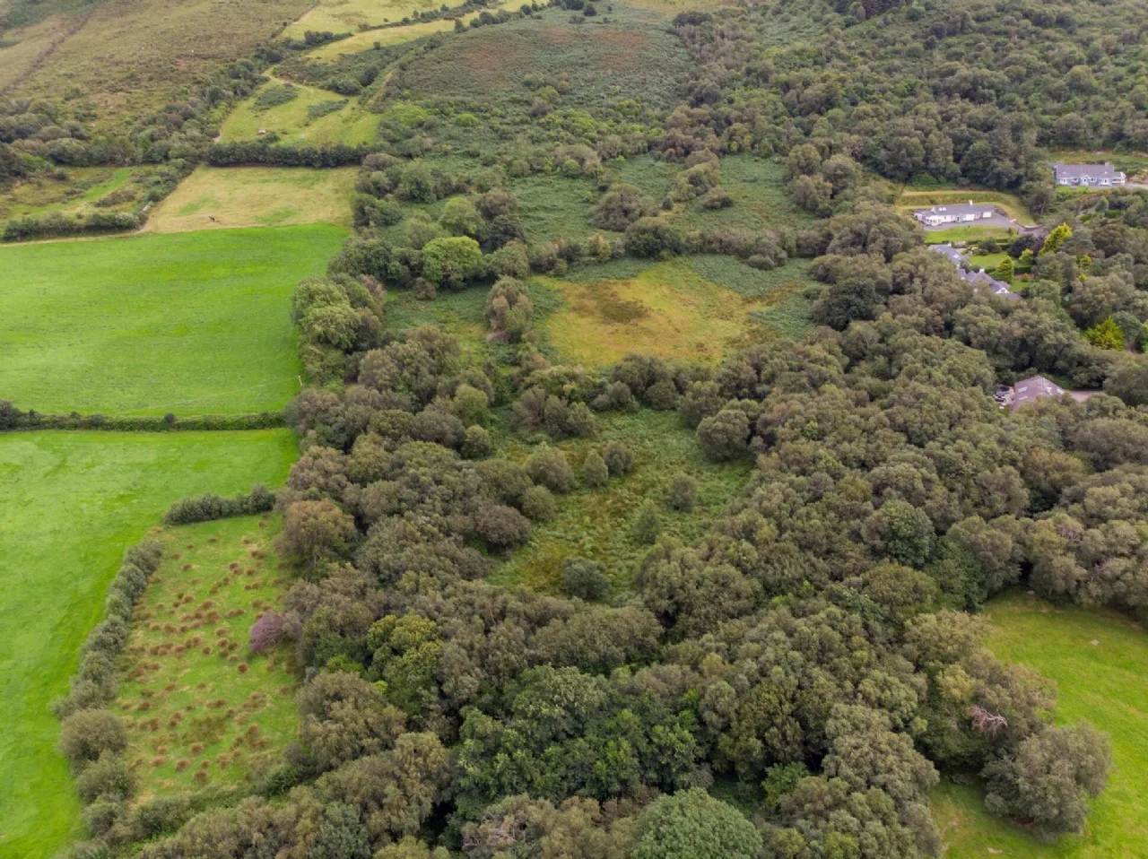 Photo of Glannagilliagh, Caragh Lake, Co.Kerry