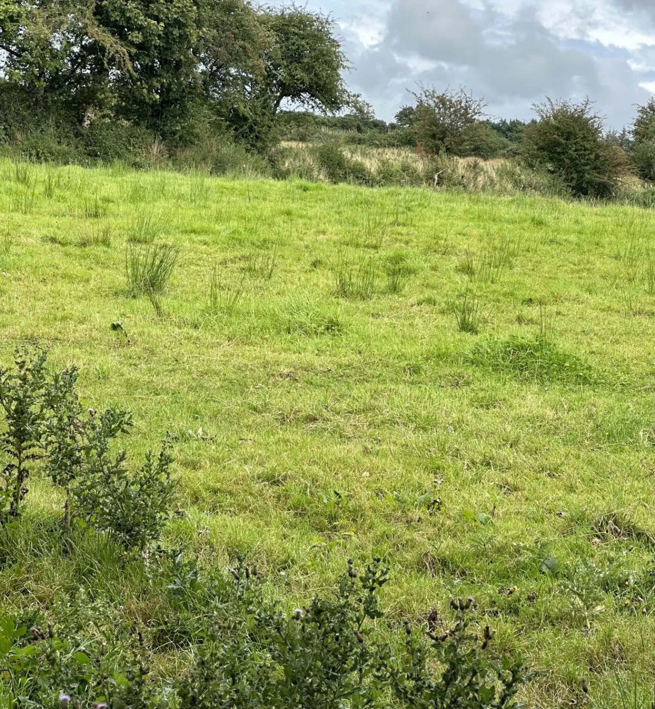 Photo of Attishane,, Cloonfad, Ballyhaunis, Co, Roscommon