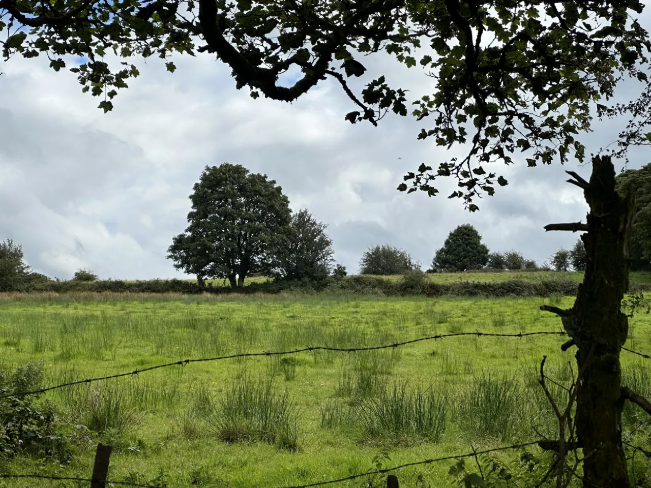Photo of Attishane,, Cloonfad, Ballyhaunis, Co, Roscommon