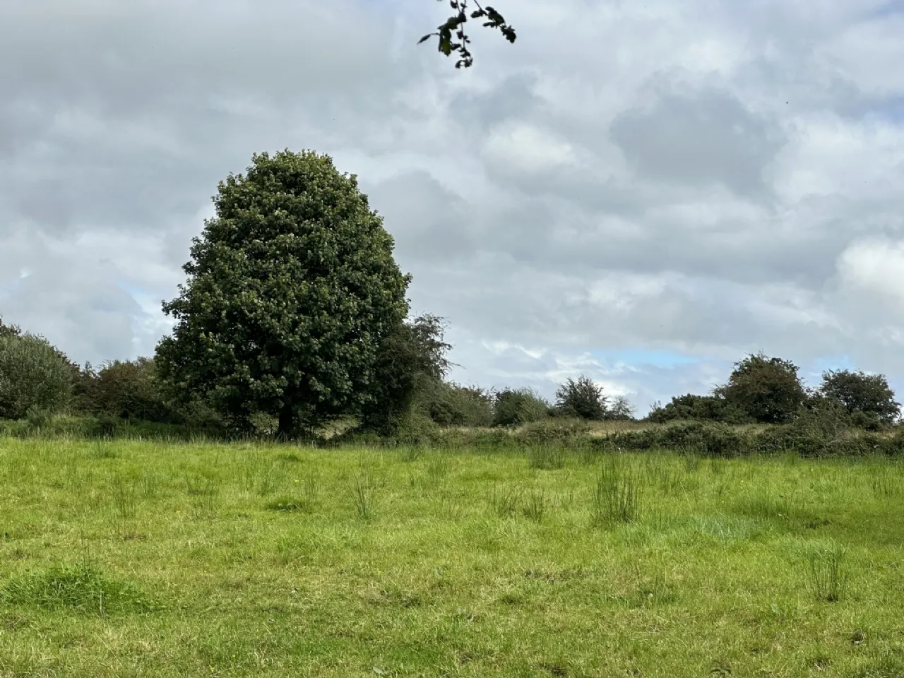 Photo of Attishane,, Cloonfad, Ballyhaunis, Co, Roscommon