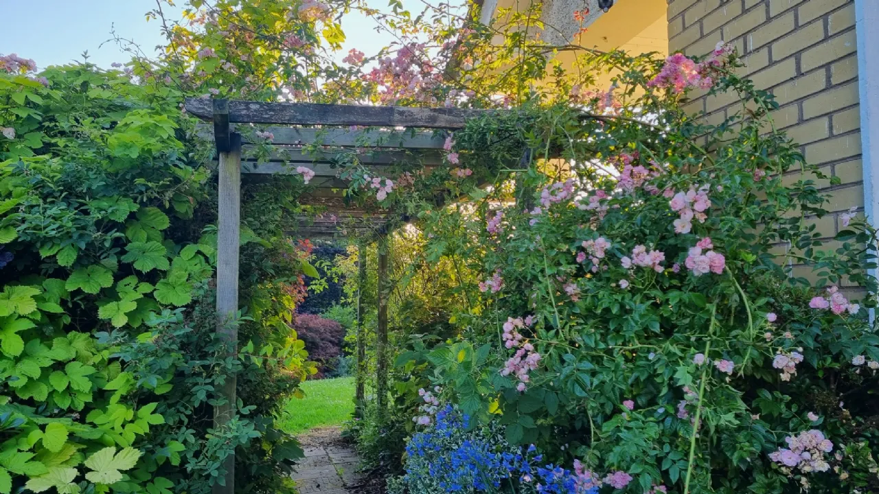 Photo of Rockwood, Lisheen Road, Blessington, Manor Kilbride, Co Wicklow, W91 P2D2