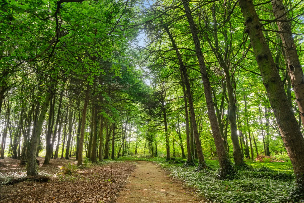 Photo of Emsworth, Kinsealy, Malahide Road, Co. Dublin, D17 EF98