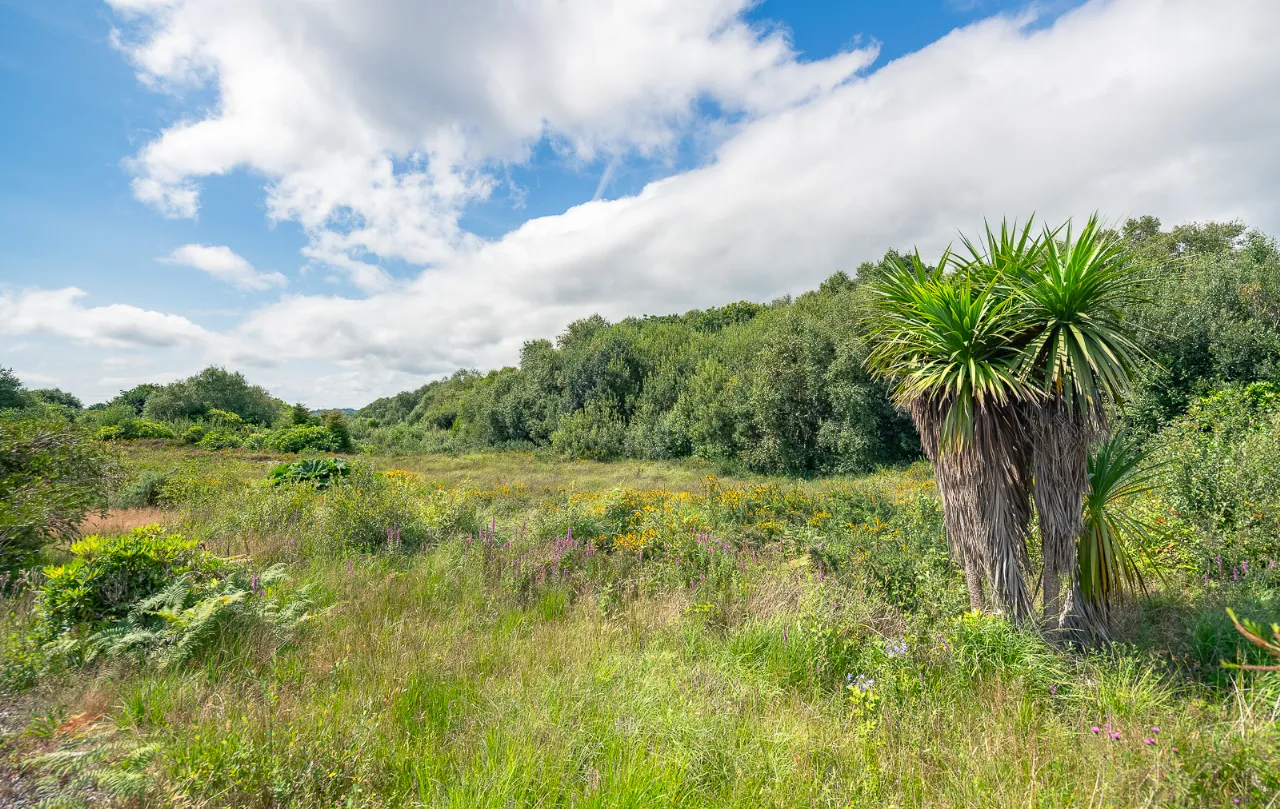 Photo of Loch Dubh, Rossdohan, Sneem, Co. Kerry, V93R3K4