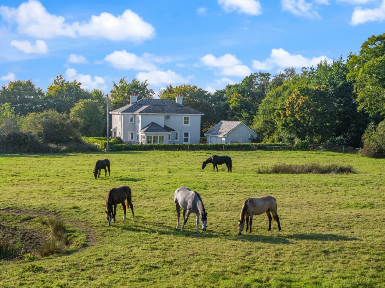 Photo of Leafy Lodge, Mayfield, Claremorris, Co Mayo, F12 D7W1