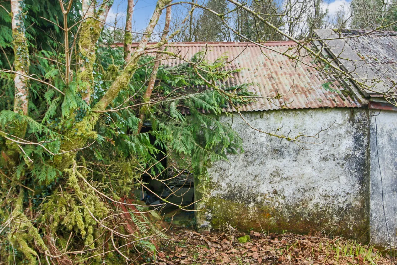 Photo of 'Moytura', Lecarrow, Ballinafad, Co. Sligo