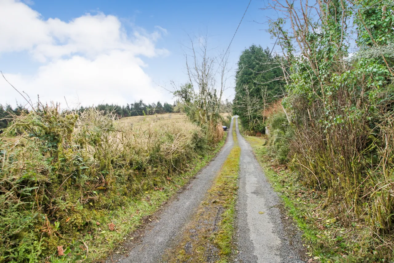 Photo of 'Moytura', Lecarrow, Ballinafad, Co. Sligo