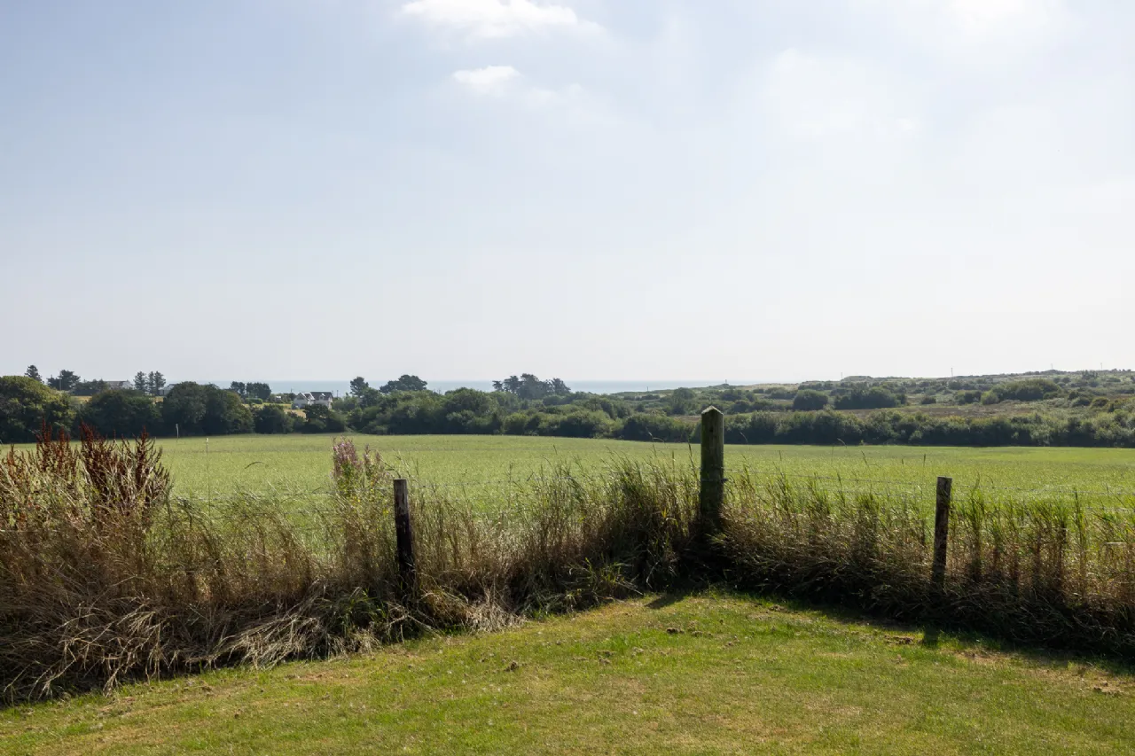 Photo of Donaghmore, Ballygarrett, Gorey, Co. Wexford, Y25 A9P2