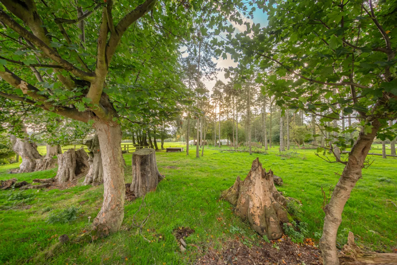 Photo of 5 Lyreen Drive, Mariavilla, Maynooth, Co. Kildare, W23 PDV7