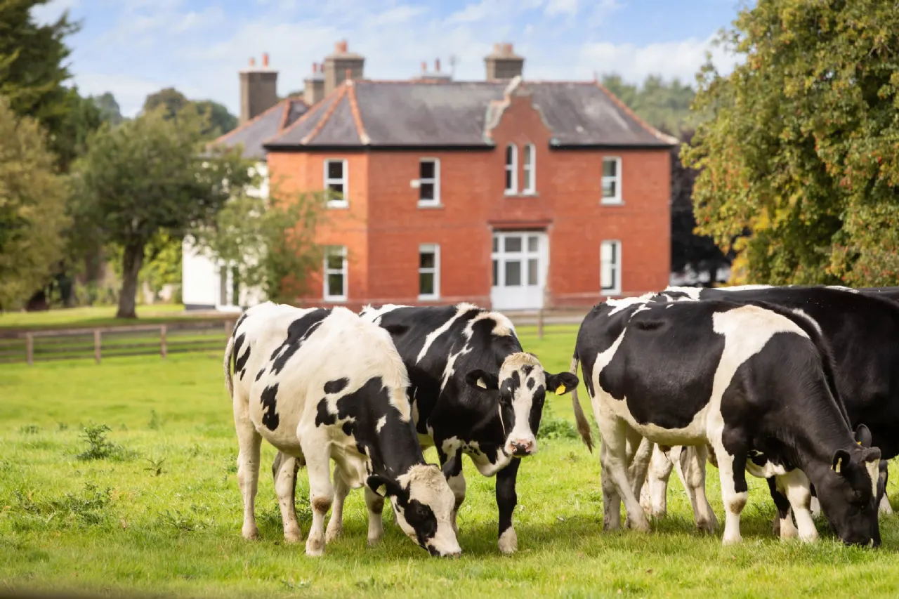 Photo of Griffinstown House, Griffinstown Upper, Dunlavin, Co. Wicklow, W91 T2Y2