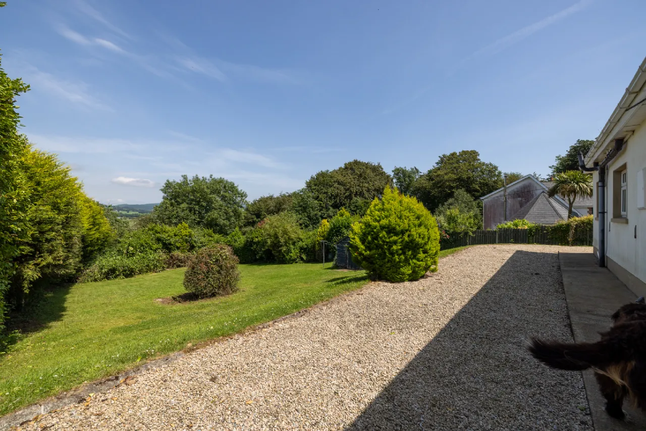 Photo of Wrens Hollow, Mangan, Hollyfort, Gorey, Co. Wexford, Y25WK18