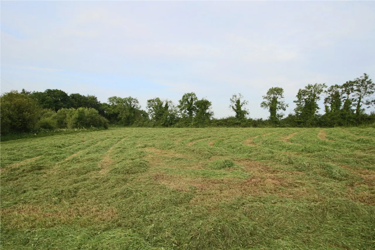 Photo of Lisnagot, Carrick On Shannon, Co Leitrim