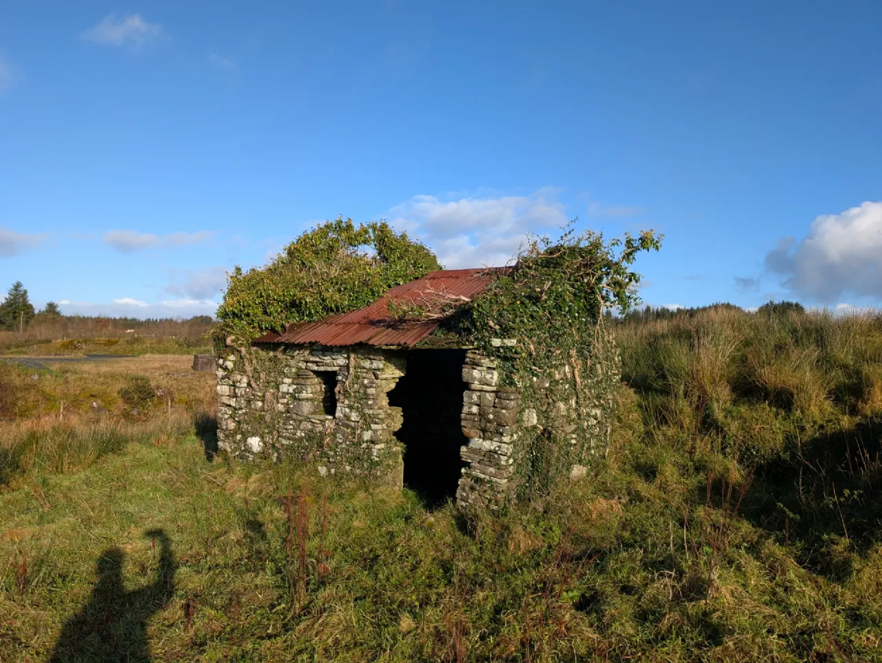 Photo of Glann East, Charlestown, Co Mayo, F12HD86