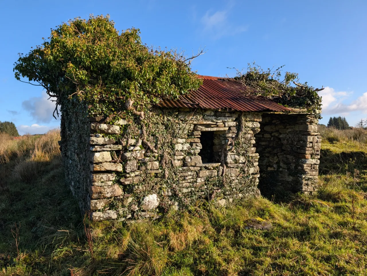 Photo of Glann East, Charlestown, Co Mayo, F12HD86