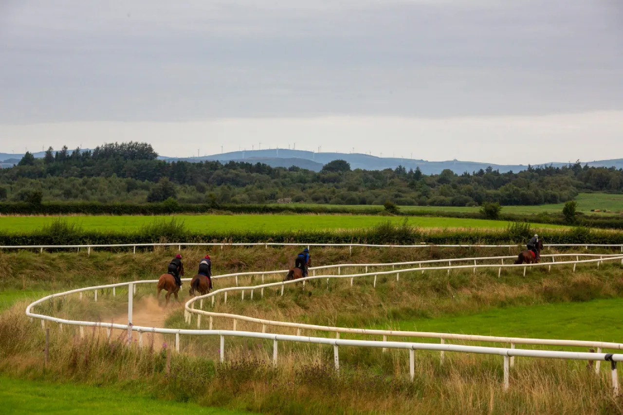 Photo of Killeens, Ballynonty, Thurles, Co. Tipperary, E41 X0T2