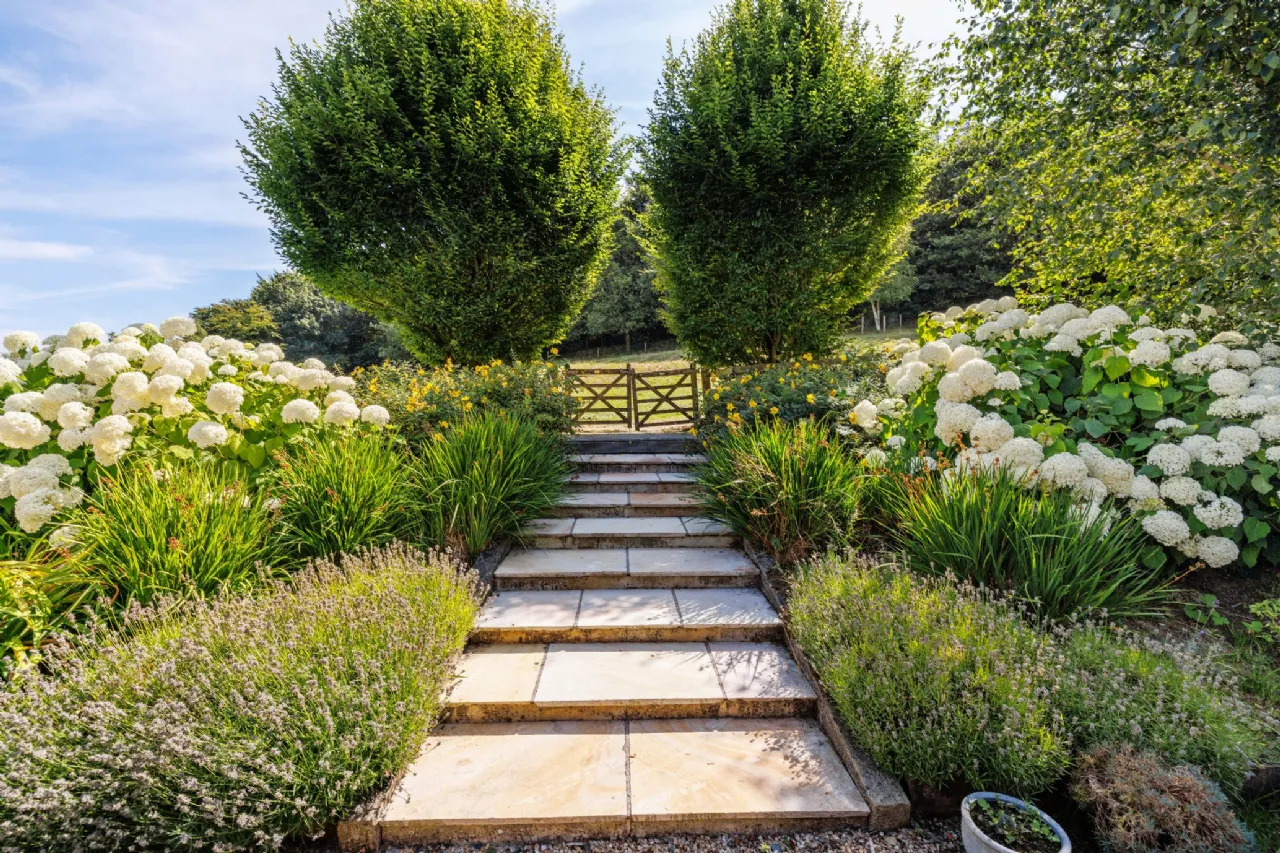 Photo of Vartry Ridge, Ballymacahara, Ashford, Co Wicklow, A67CC84