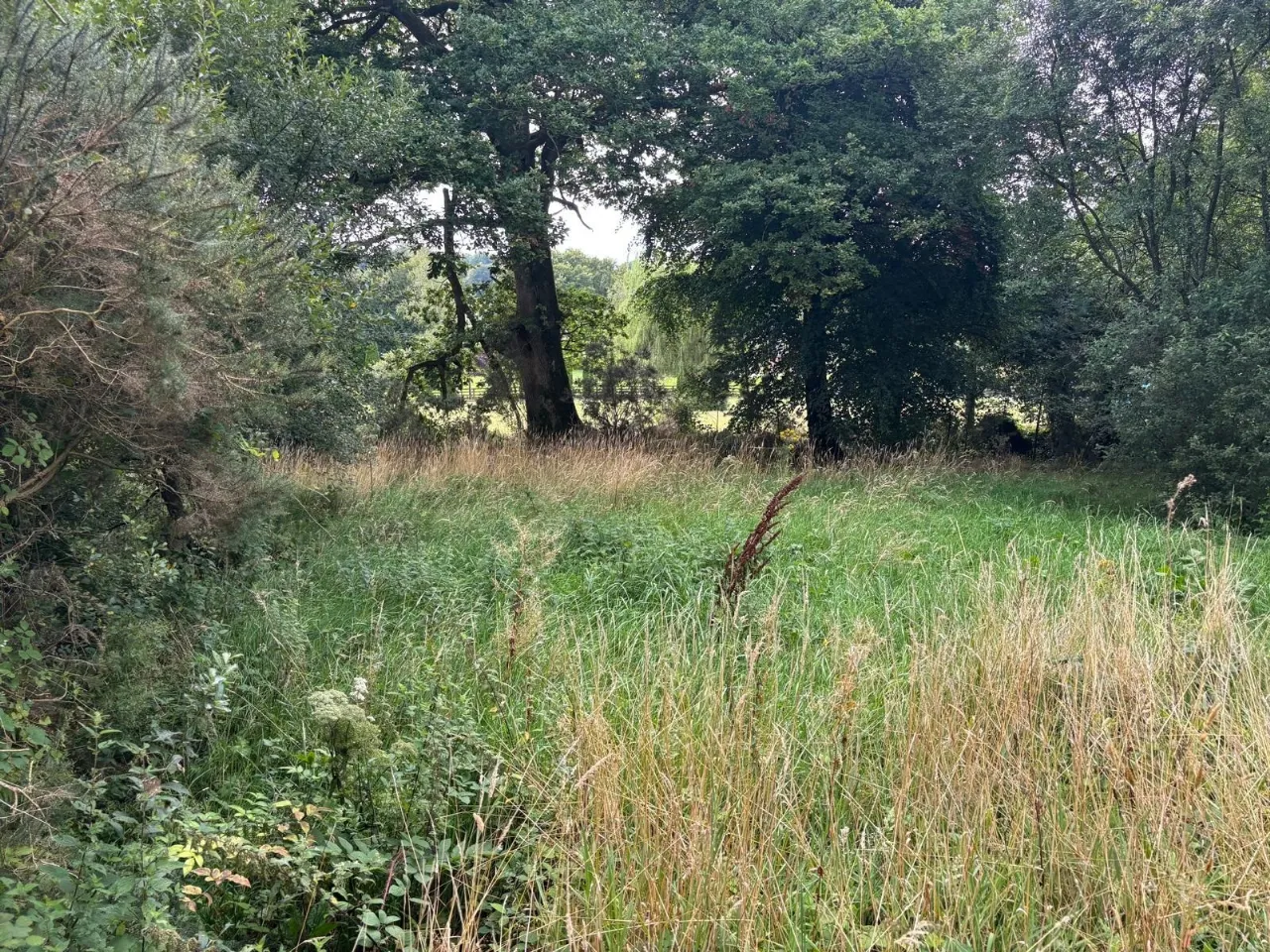 Photo of Site SPP At Annagh Middle, Gorey, County Wexford