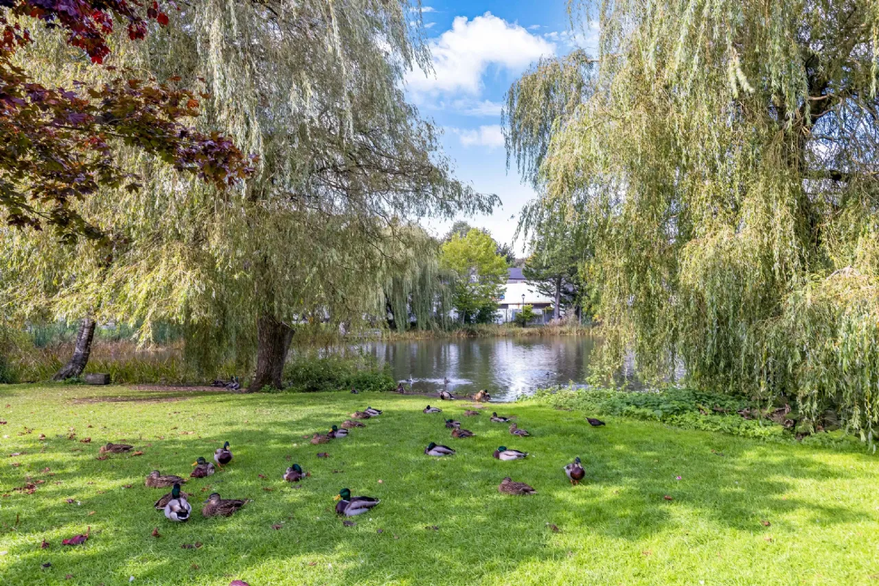 Photo of 15 Lakeside Walk, Monaghan Town, H18DV22