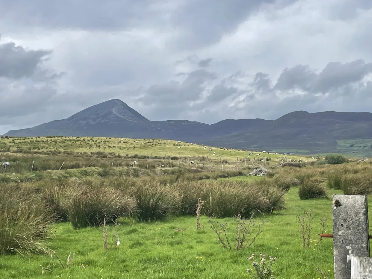 Photo of Site SPP, Glynsk, Liscarney, Westport, Co. Mayo
