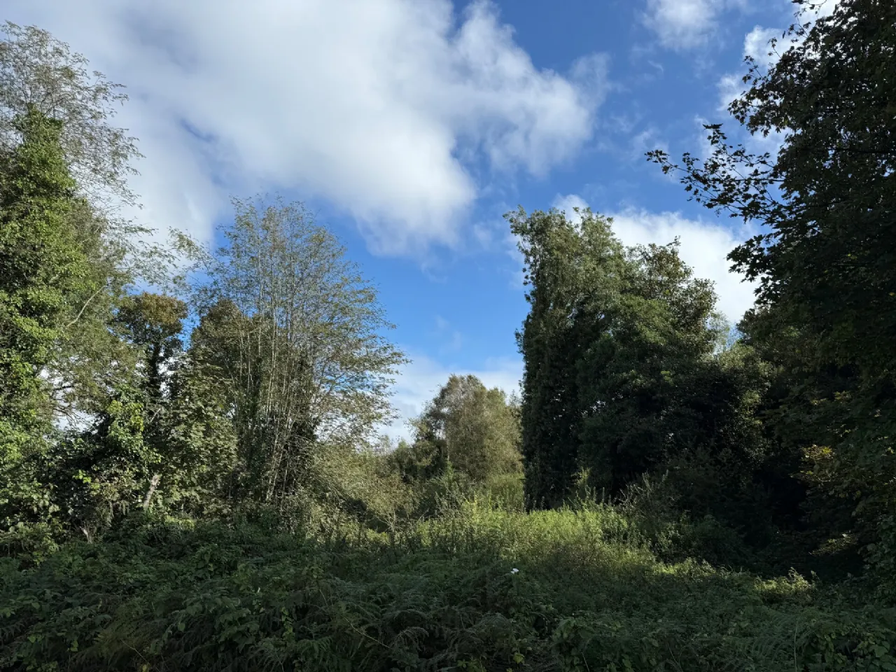 Photo of Killinagh, Carbury, Co Kildare