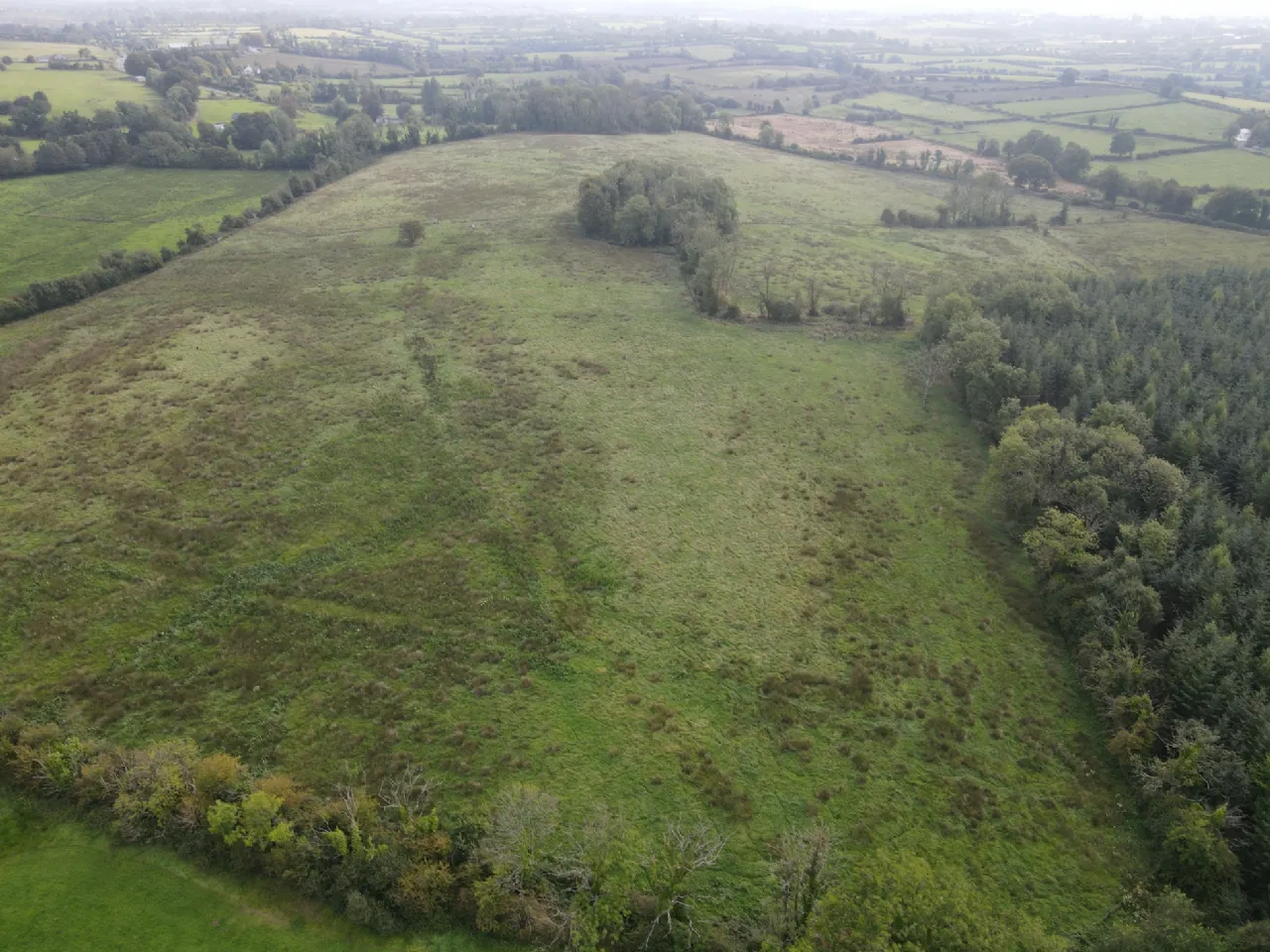Photo of Lissadorn, Elphin, Co. Roscommon