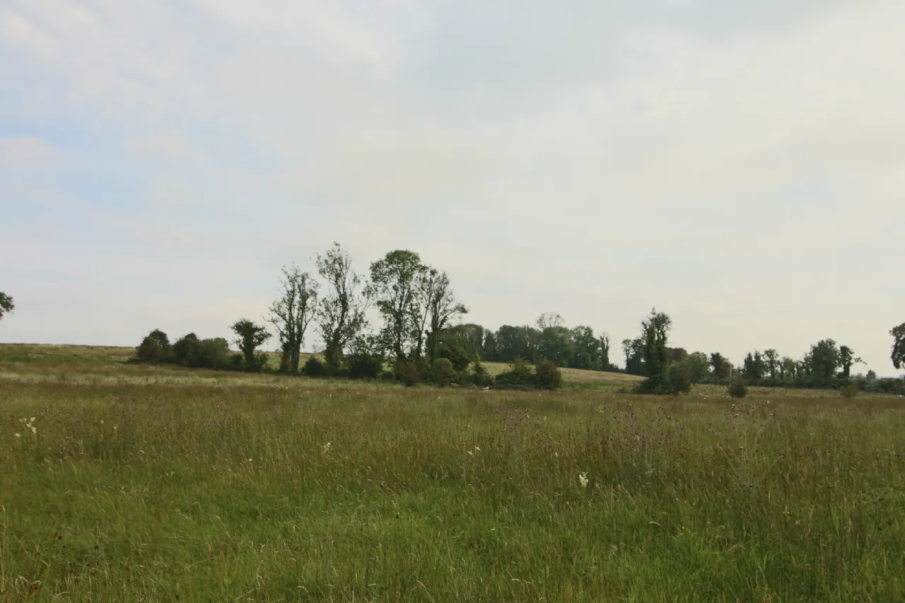 Photo of Lissadorn, Elphin, Co. Roscommon