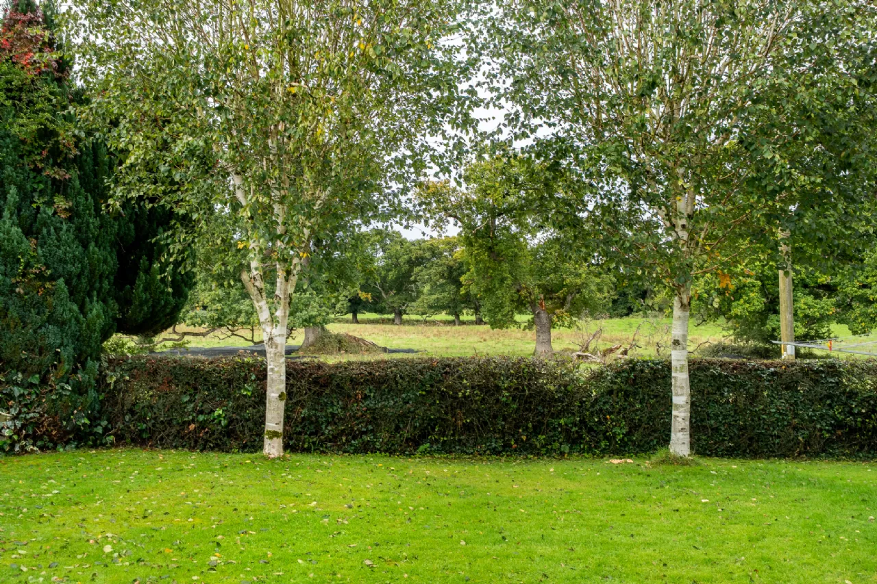 Photo of Charleville View, Tullamore, Co Offaly, R35KO63