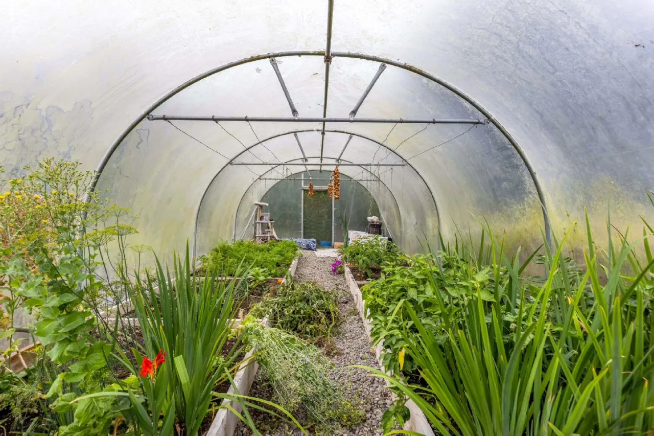 Photo of Howthstown, Drumconrath, Co Meath, C15R5P9