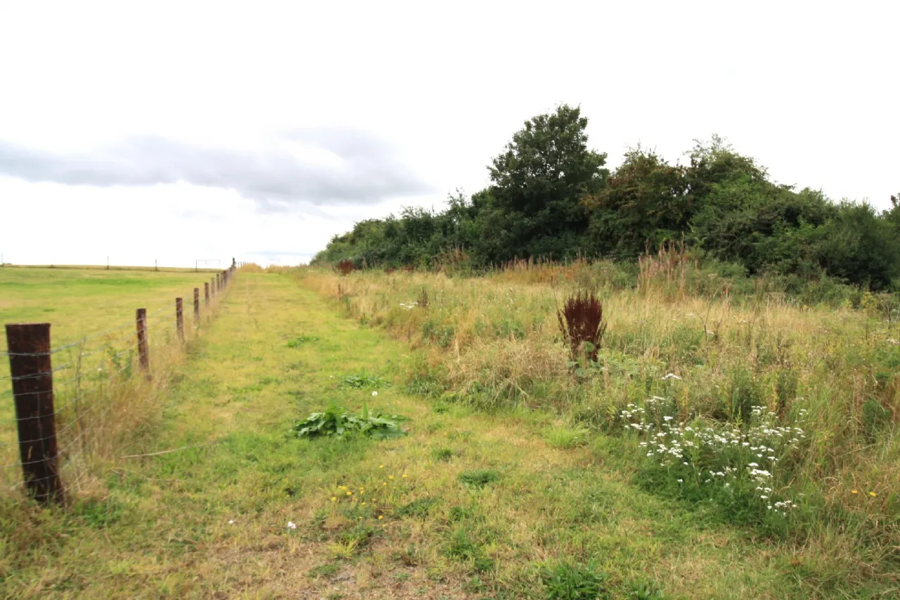 Photo of 14.28 Acres Agri Lands At, Cloghna Lane, Milford, Carlow