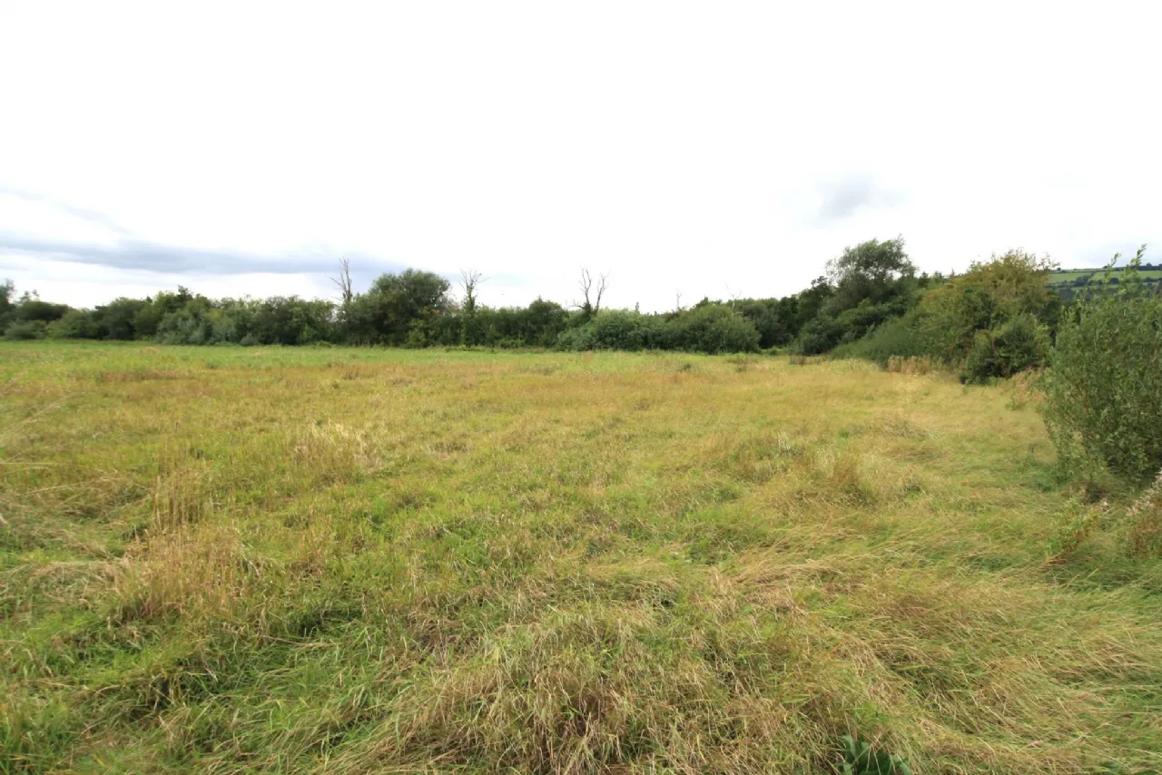 Photo of 14.28 Acres Agri Lands At, Cloghna Lane, Milford, Carlow