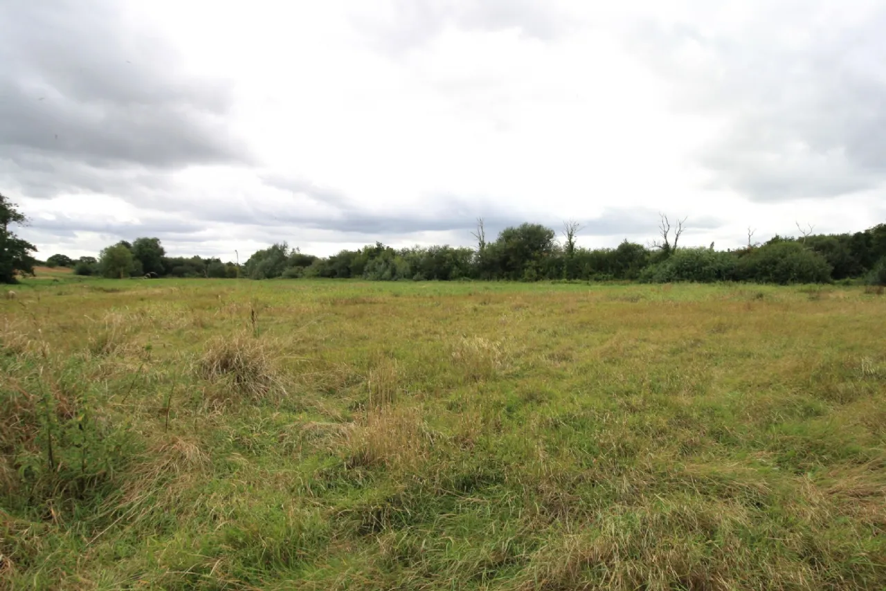 Photo of 14.28 Acres Agri Lands At, Cloghna Lane, Milford, Carlow