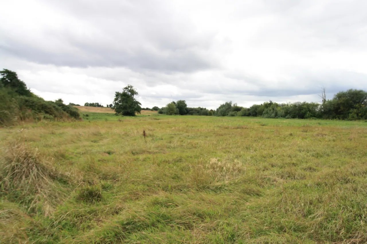 Photo of 14.28 Acres Agri Lands At, Cloghna Lane, Milford, Carlow