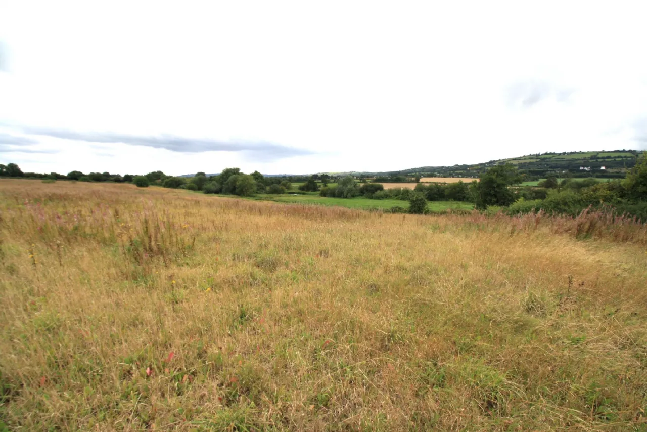 Photo of 14.28 Acres Agri Lands At, Cloghna Lane, Milford, Carlow