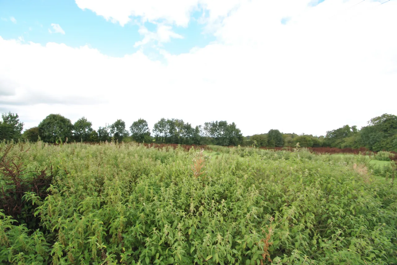 Photo of Derrybeg, Clareen, Birr, Co. Offaly, R42 PD95