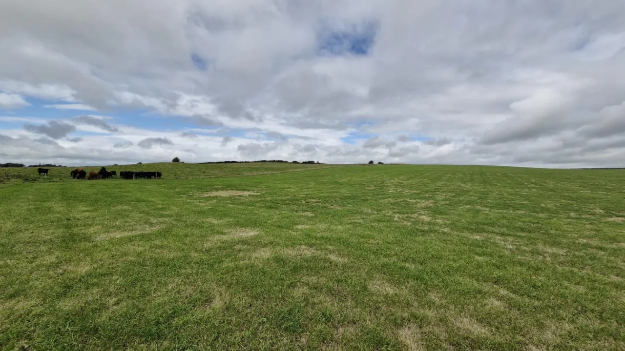 Photo of 27acres of Land, Cortoon, Tuam, Co. Galway