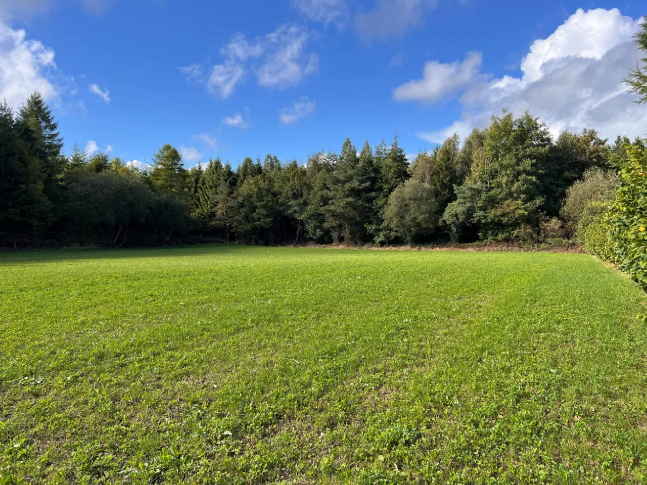 Photo of 6-Bed On 3 Acres, Togher Road, Fennor, Urlingford Via Thurles, Co. Tipperary, E41 F8C7