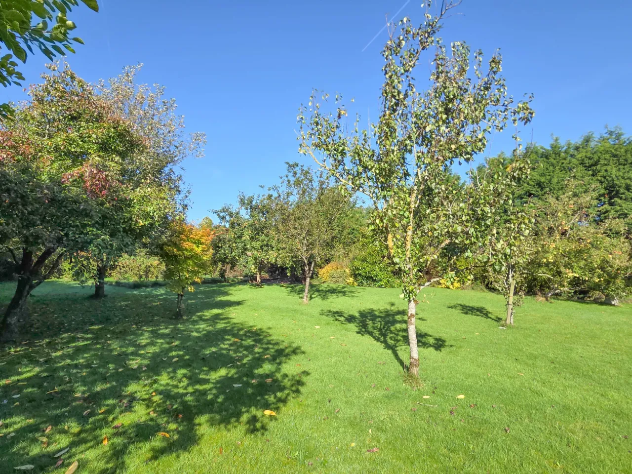 Photo of 6-Bed On 3 Acres, Togher Road, Fennor, Urlingford Via Thurles, Co. Tipperary, E41 F8C7