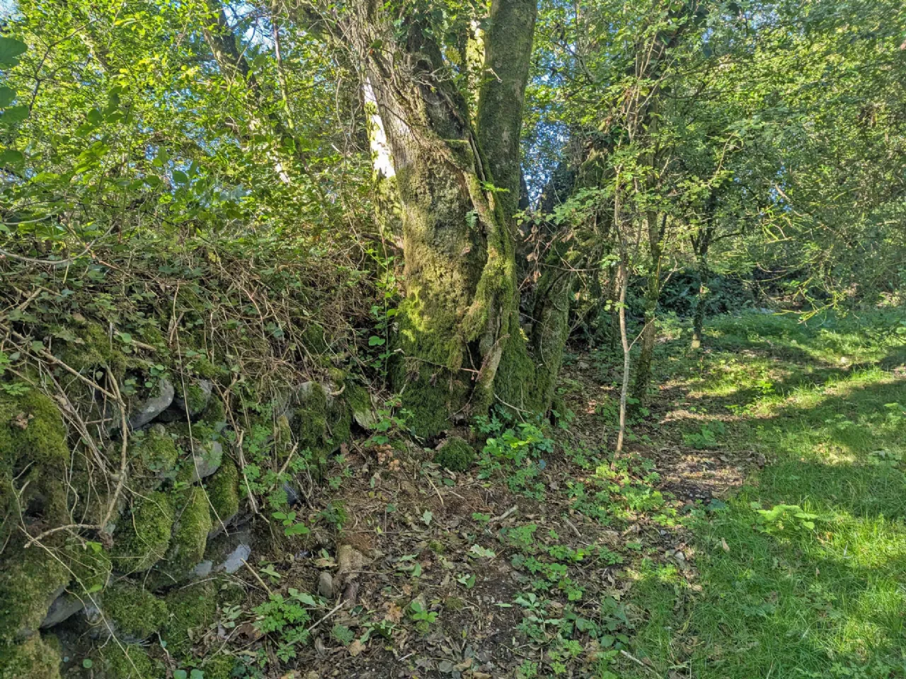 Photo of Keelnacronagh East, Enniskeane, Co Cork, P47D277