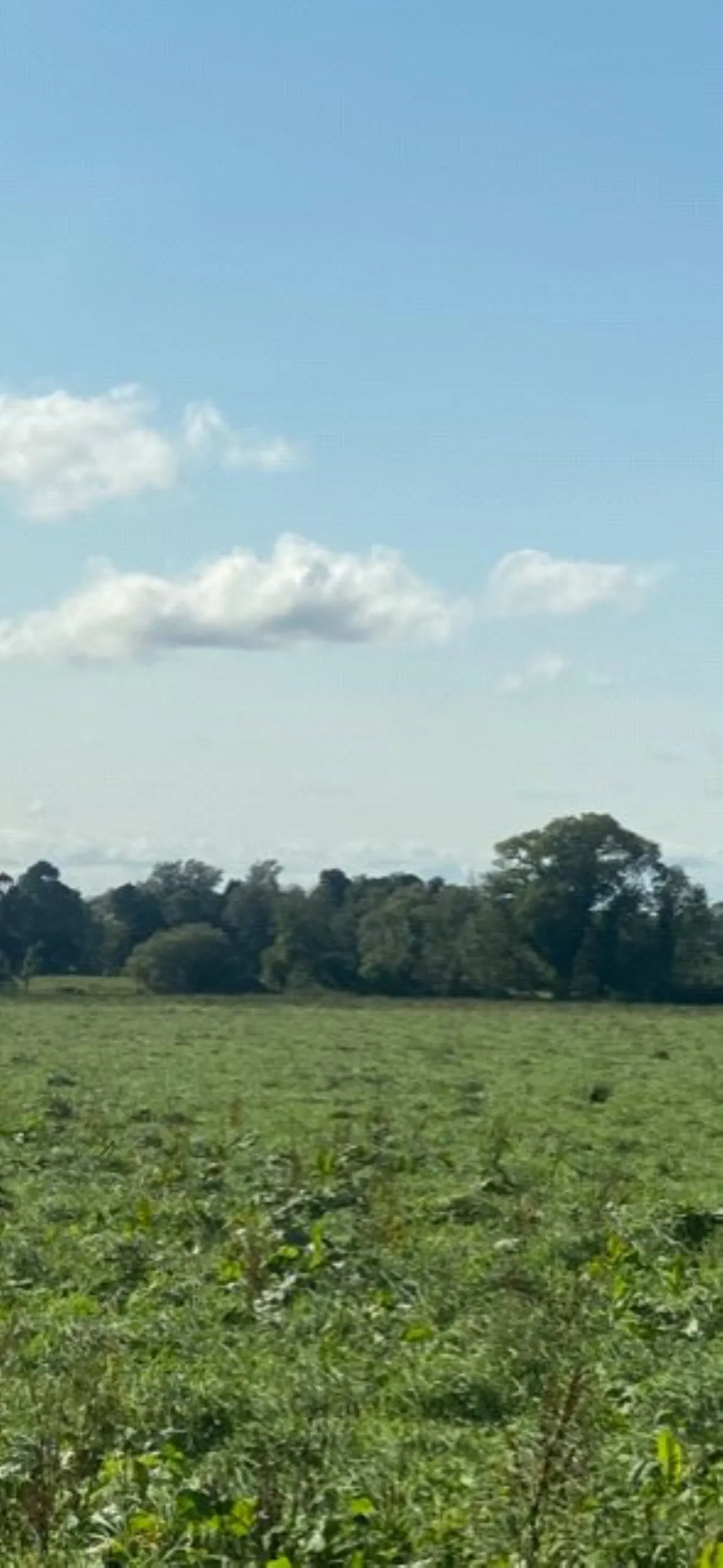 Photo of Ballagh Cross, Donadea, Co Kildare