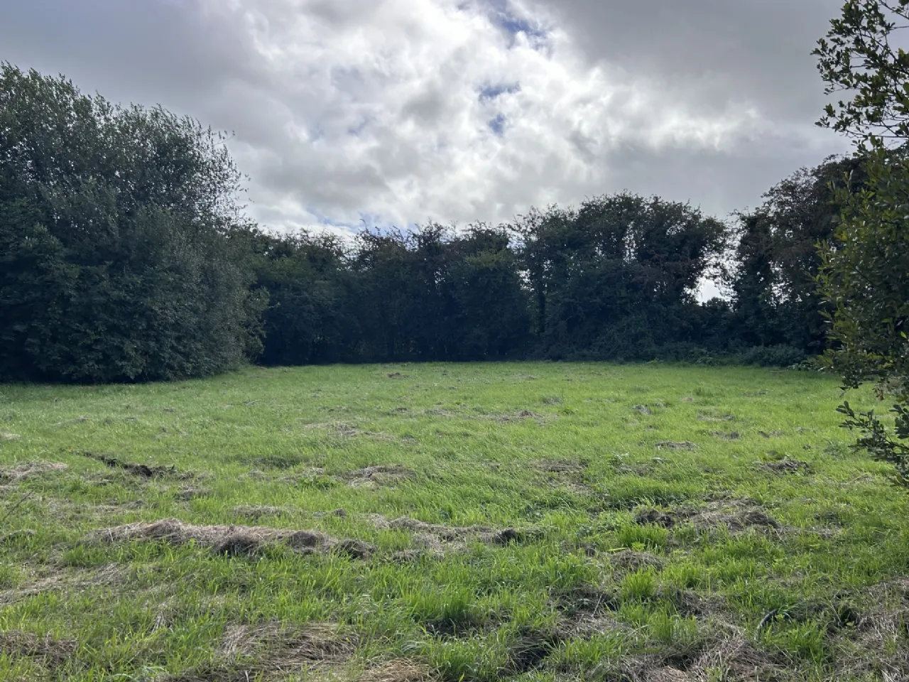 Photo of Monagee, Camus, Cashel, Tipperary, E25F437