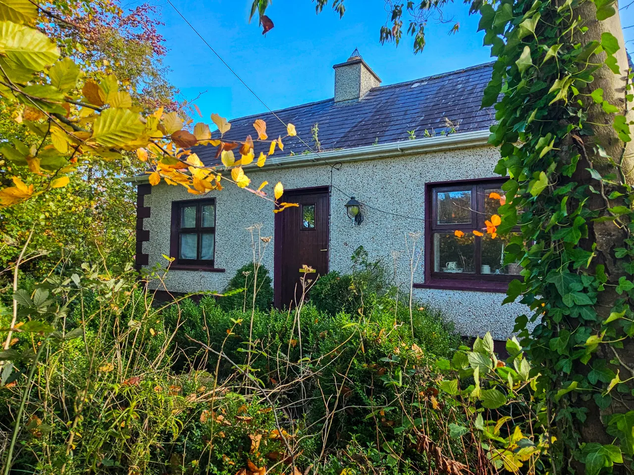 Photo of Culvin, Streete, Co. Westmeath, N91 YP27