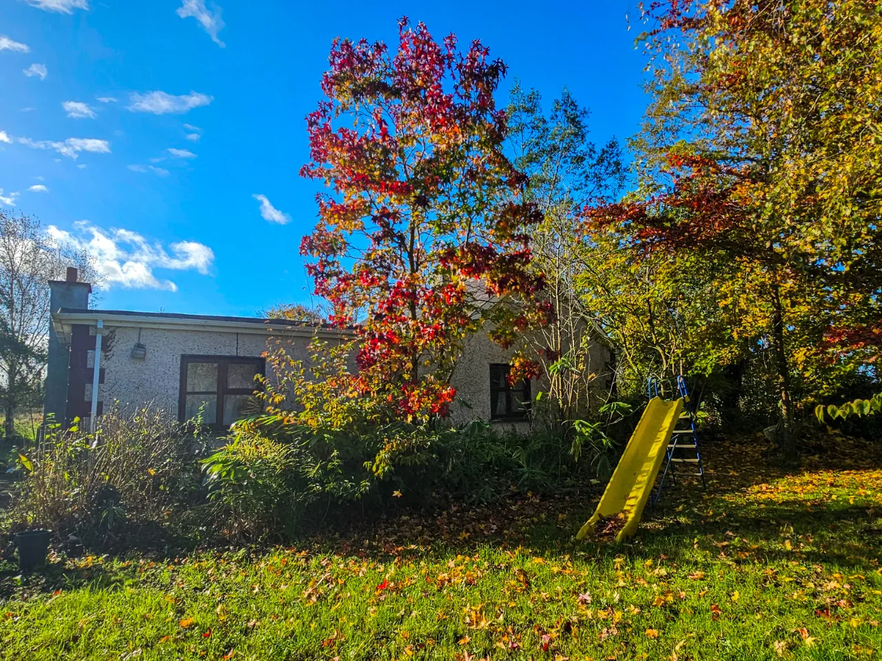 Photo of Culvin, Streete, Co. Westmeath, N91 YP27