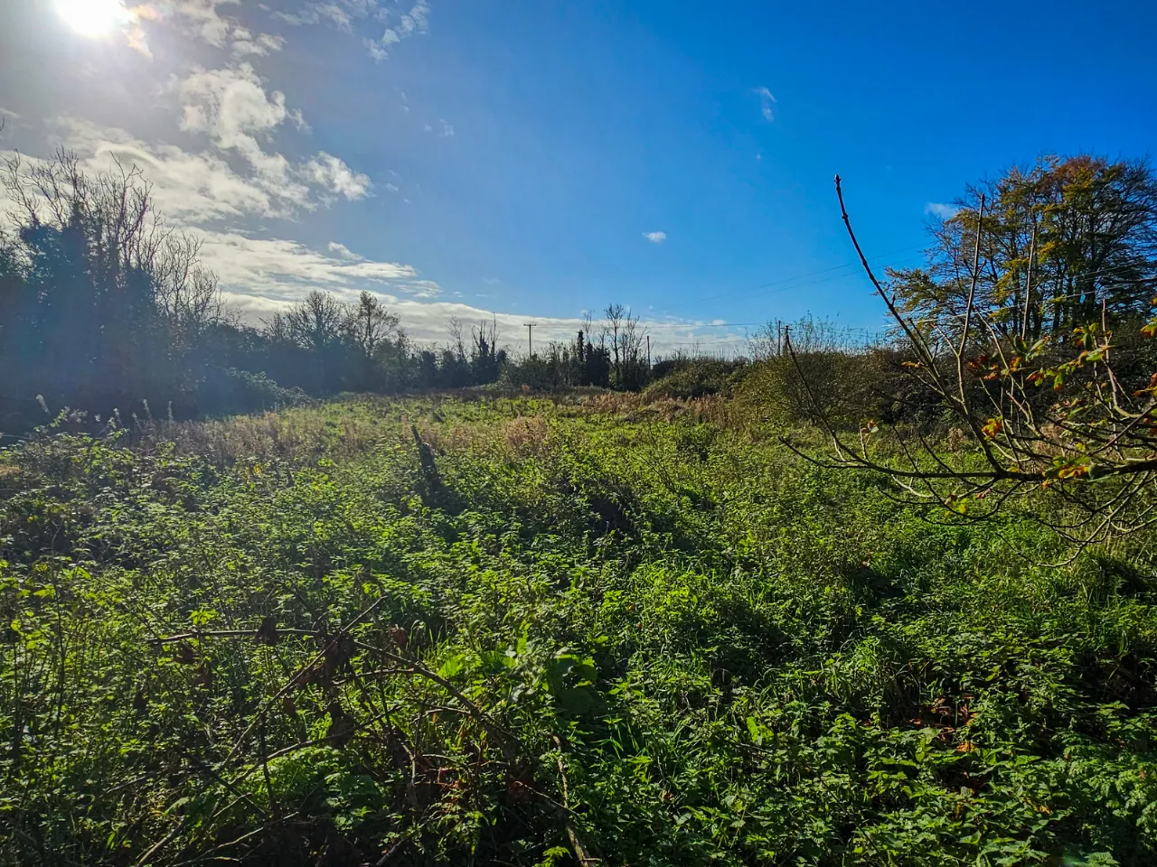 Photo of Culvin, Streete, Co. Westmeath, N91 YP27