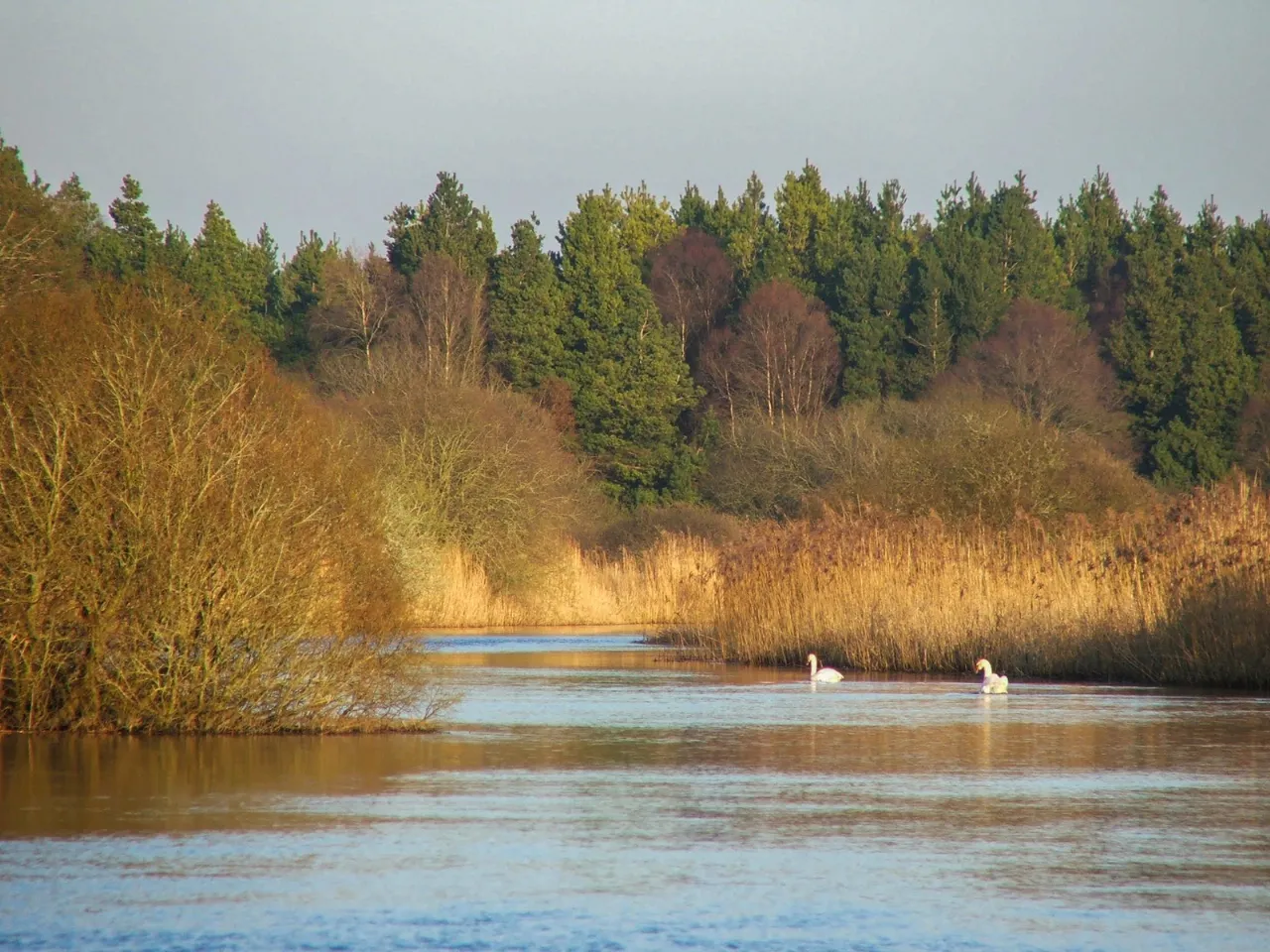 Photo of Culvin, Streete, Co. Westmeath, N91 YP27